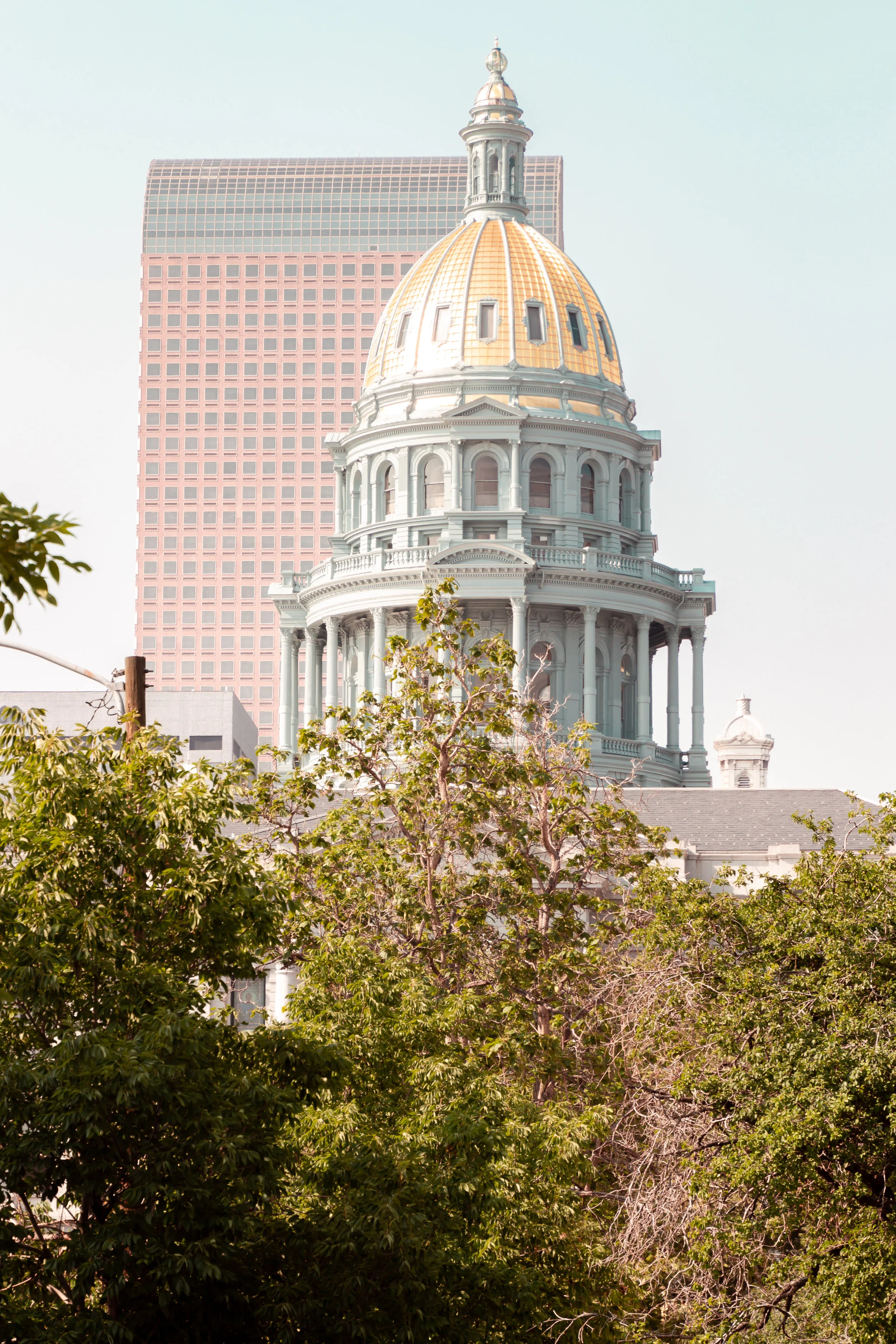 C.I.N.E.M.A. Partners With New Lobbyist