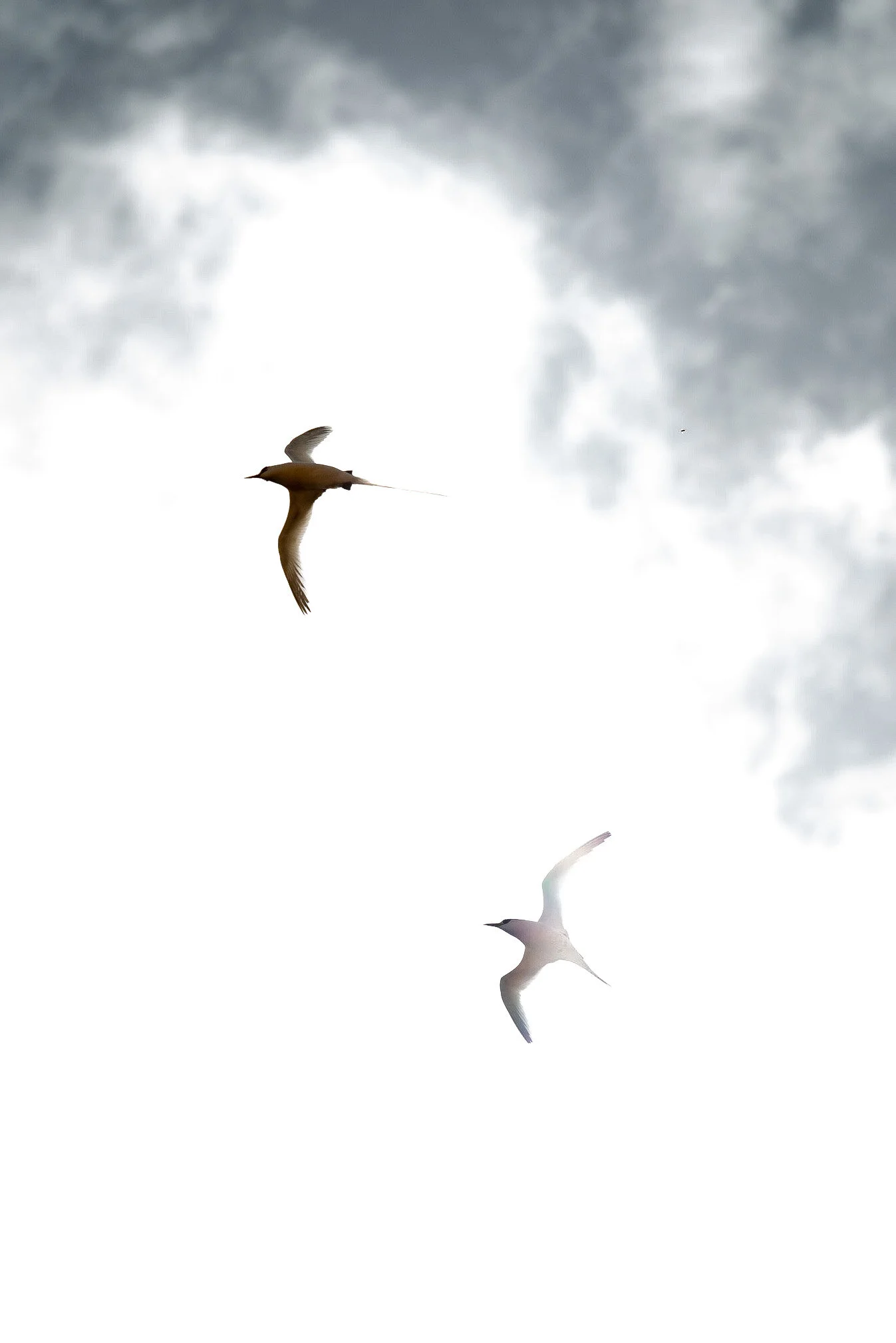 DE6713CF-D0B9-43BC-BC0B-D81C3905AEAB