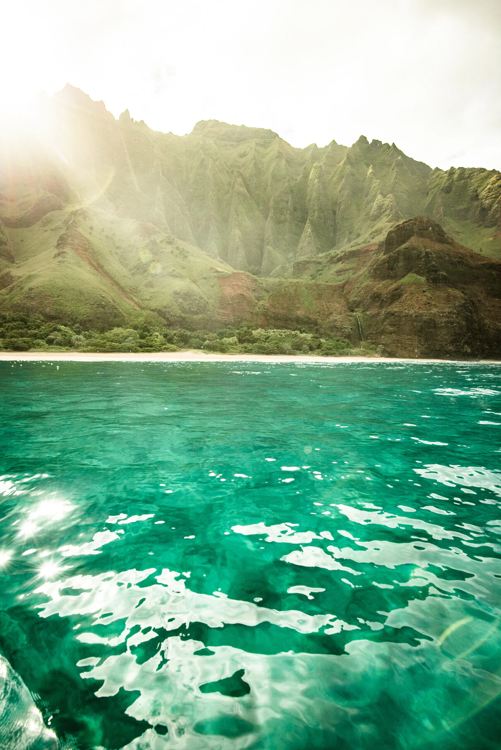 9DEF97A1-4D39-4EF5-B31C-18CE91F826EC