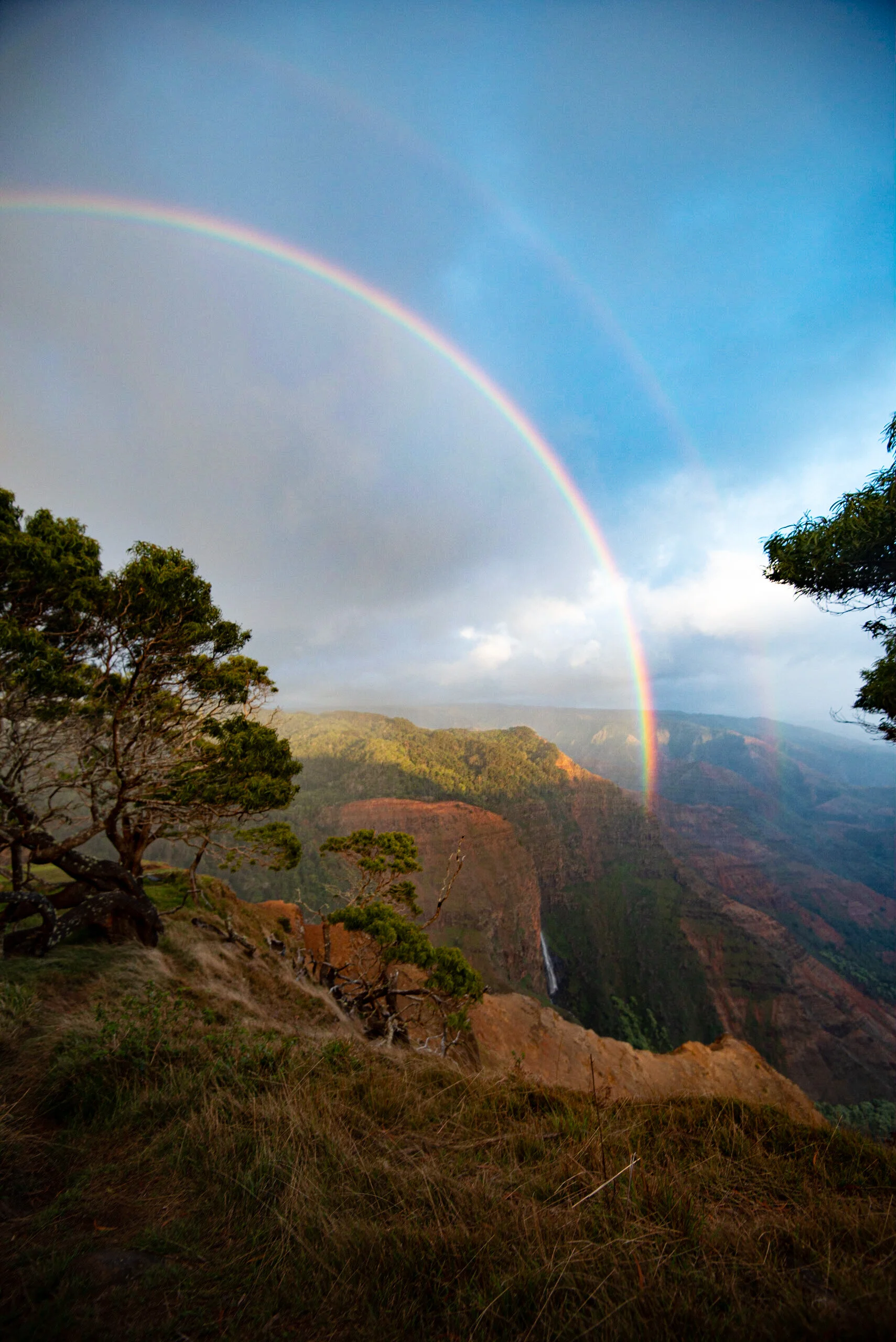 D3515BC0-7E20-479E-9B6A-3AECA5F91AA7