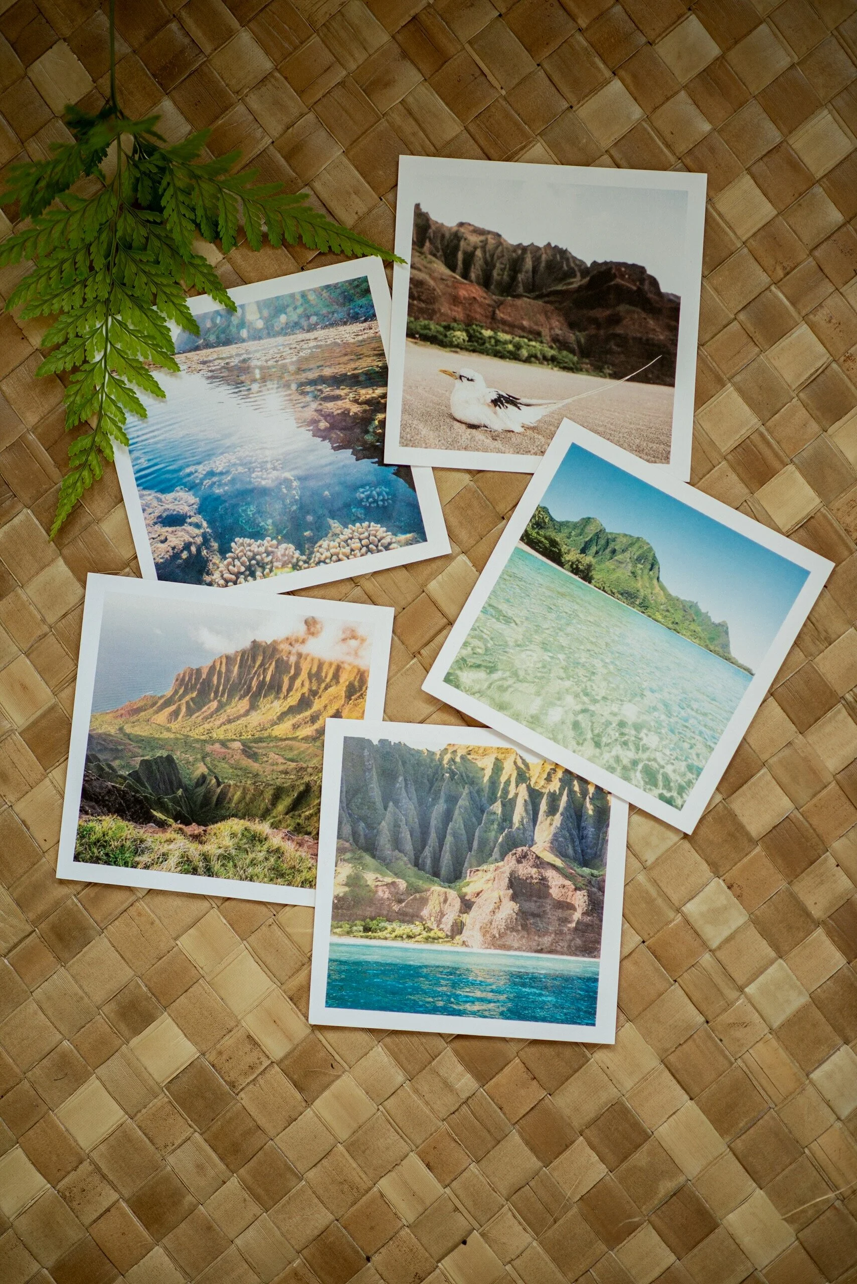 56C27F21-3006-4C05-8D3D-EAB0C743DDBD