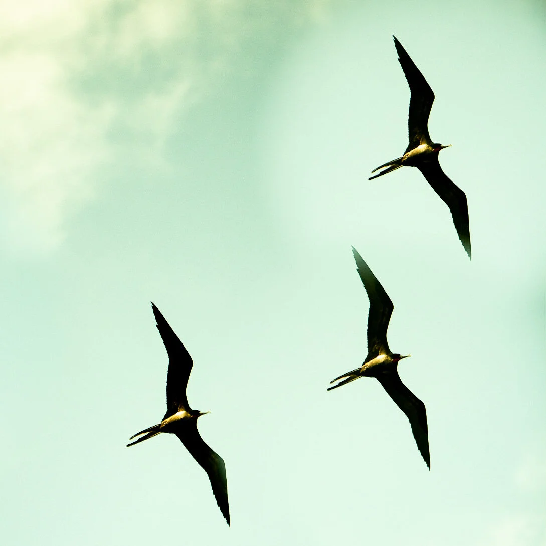 68710B8A-F8C1-41FC-967A-7305CBBB8C6E