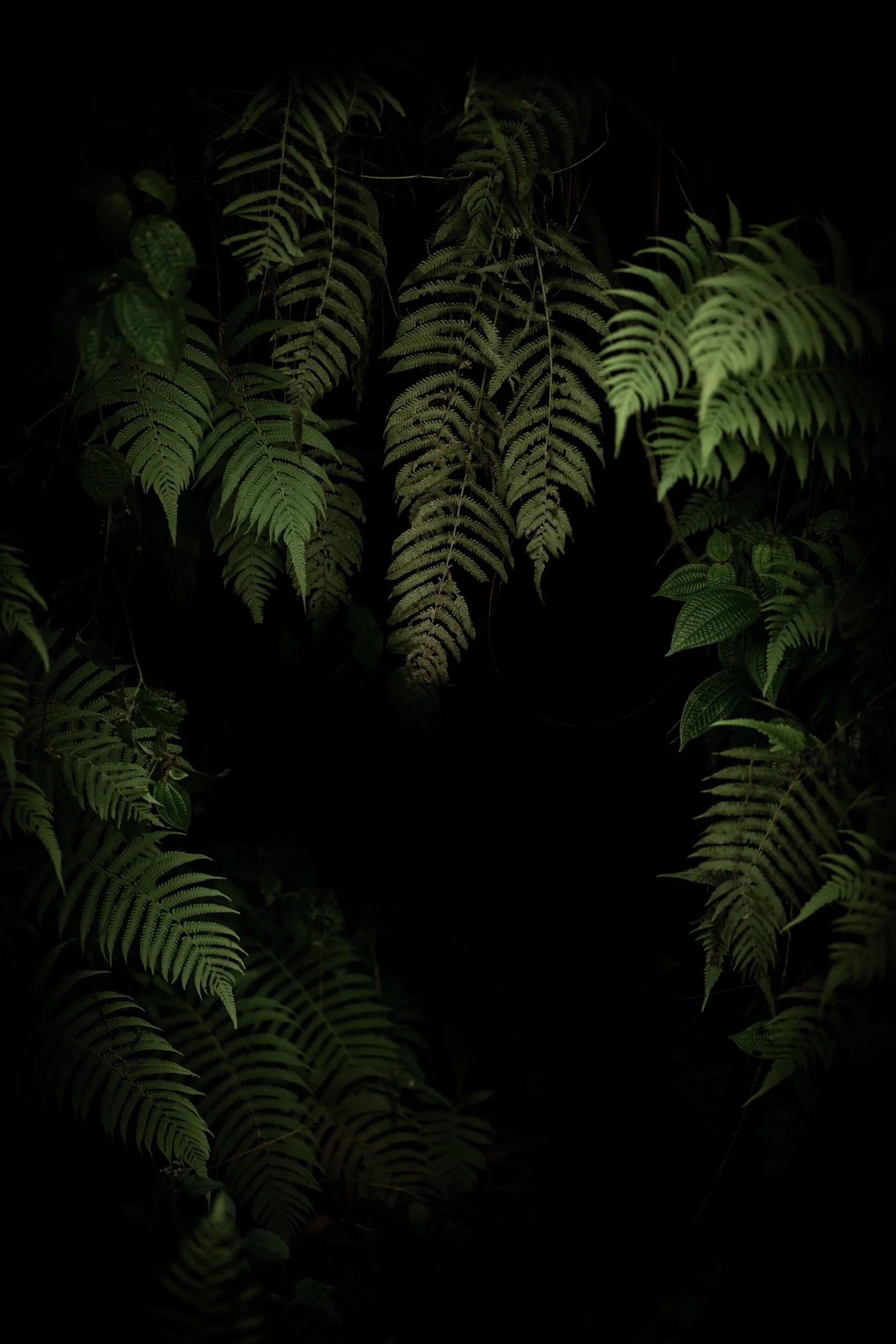 0E332284-2648-44E4-89A2-1B777AE2C023