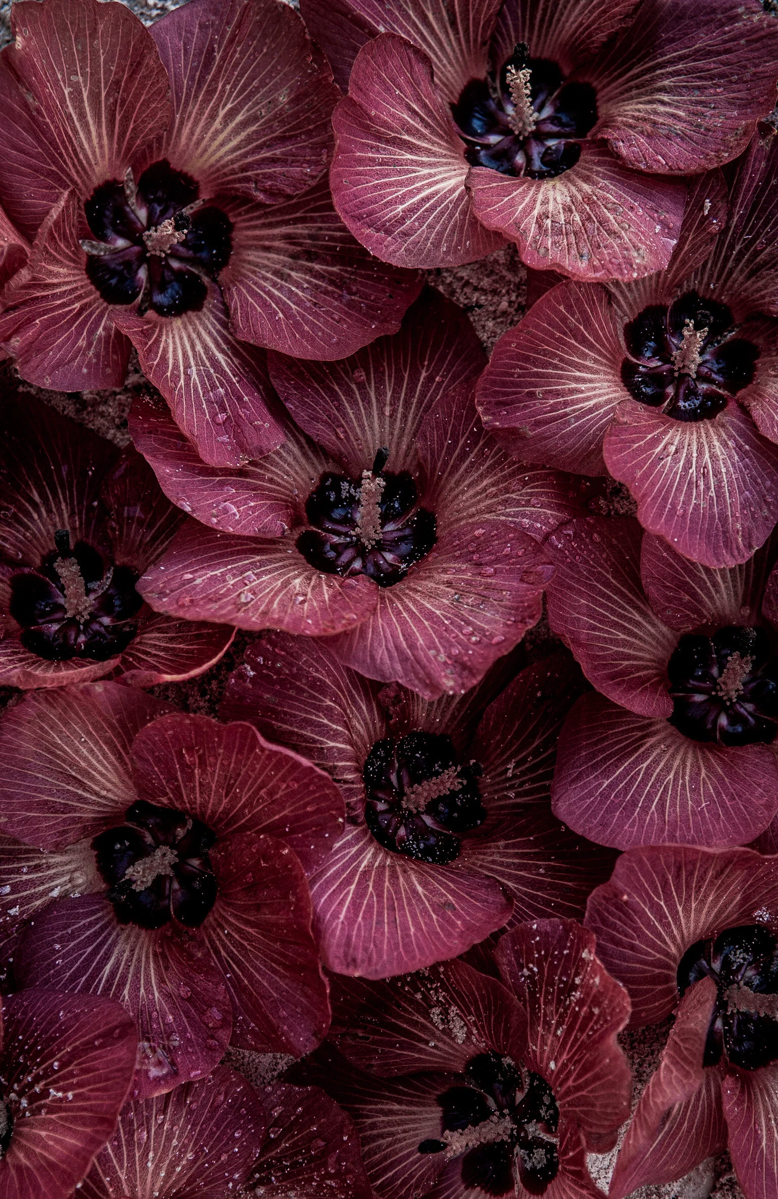 7DA5963D-D0E3-497D-84F2-C63E60D7942D