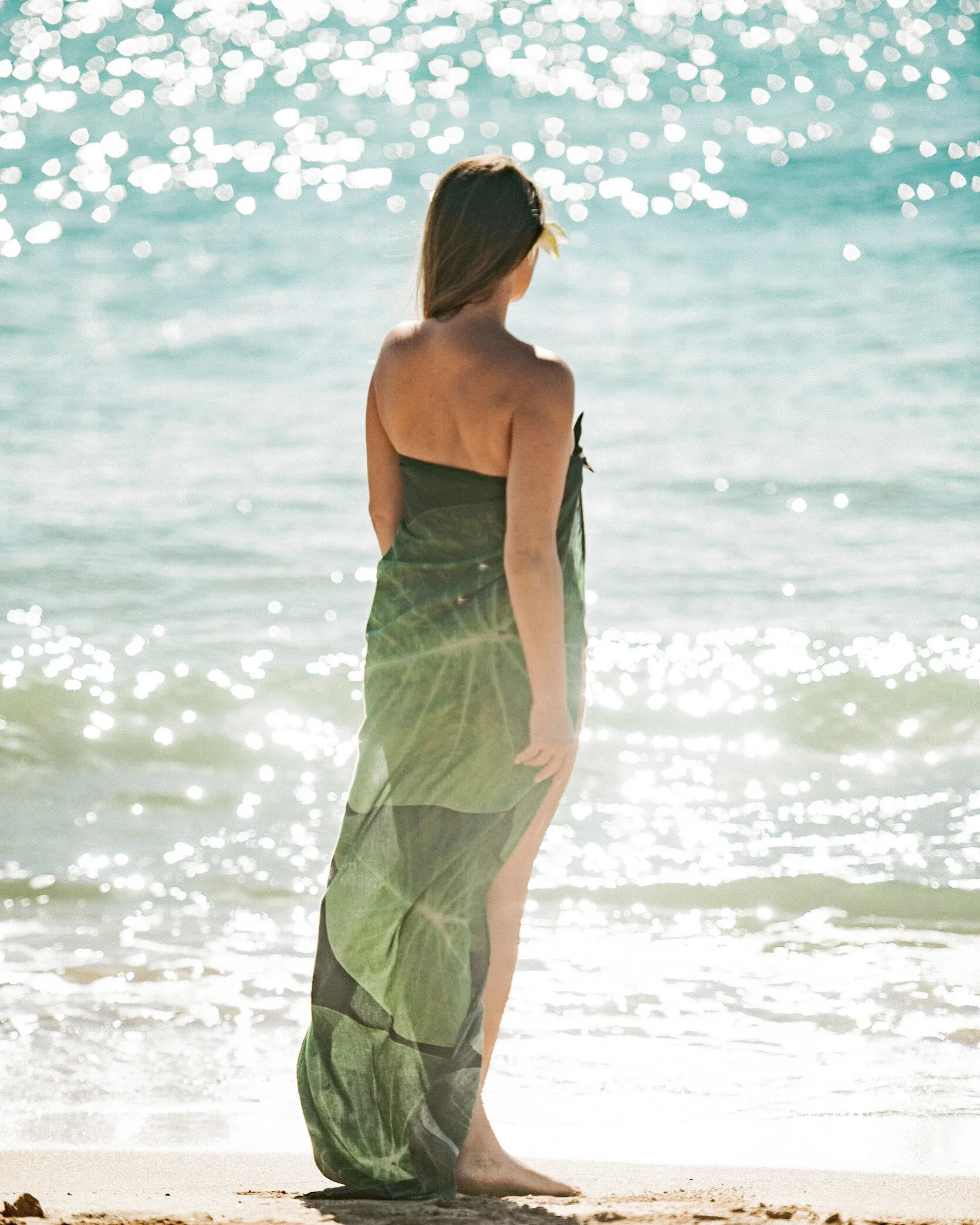 0FA56457-66F7-489A-AAF6-4BE1C13F2808