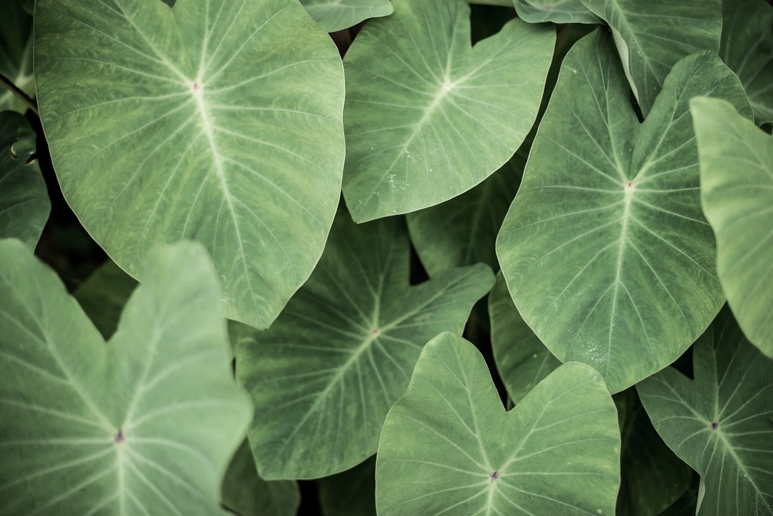 5223B8BF-4D0D-498E-A716-672A57CB137E