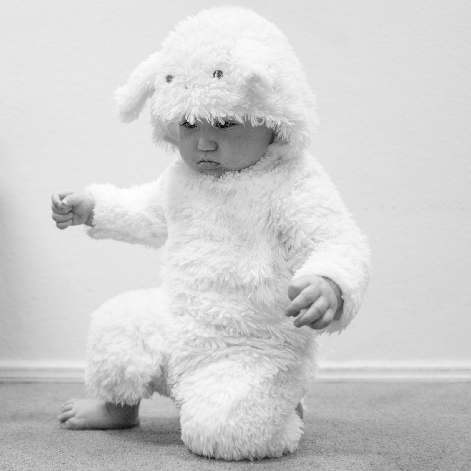 Toddler in a Bear Suit