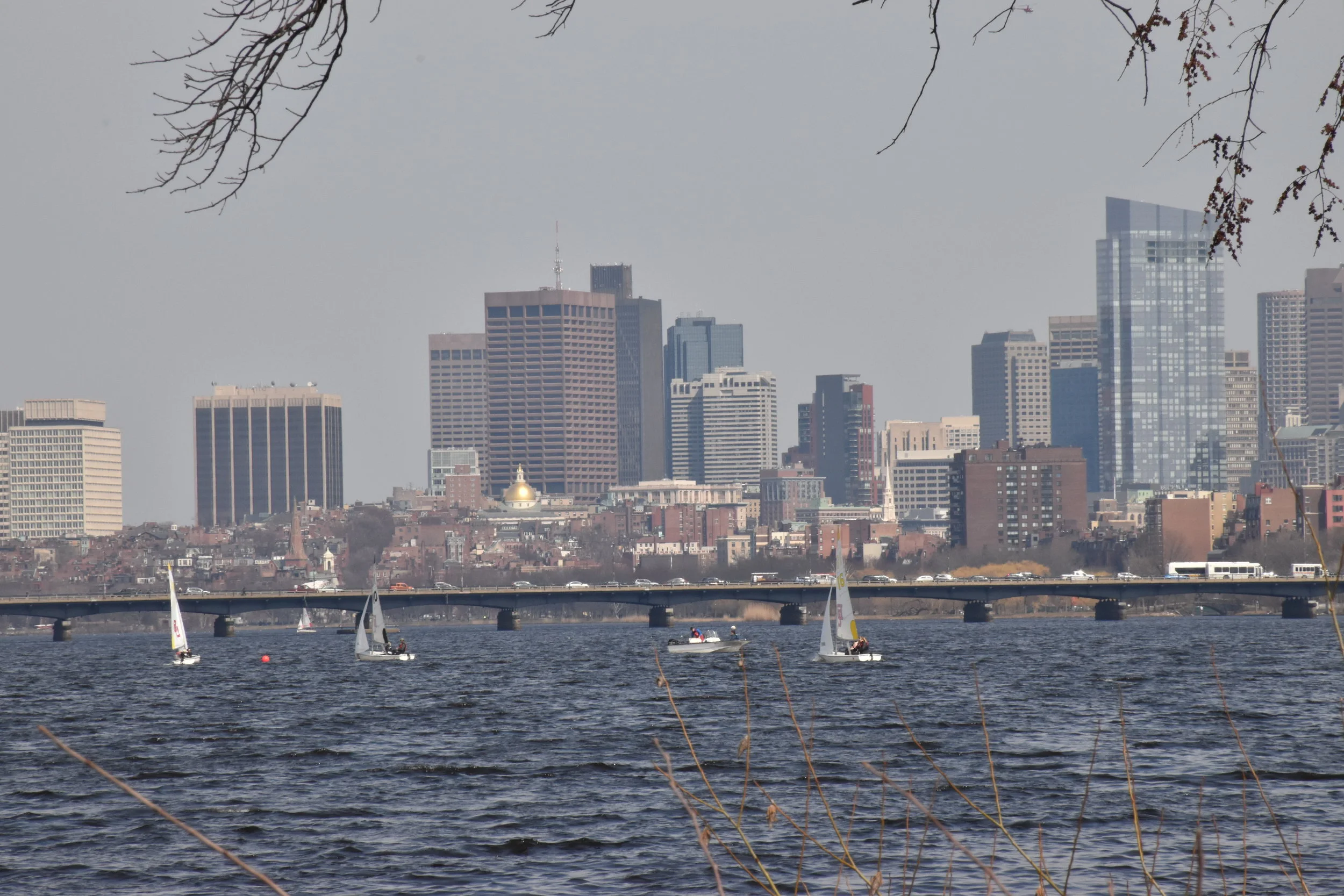 The Boston University sailing team practices in the shadow of the Boston skyline