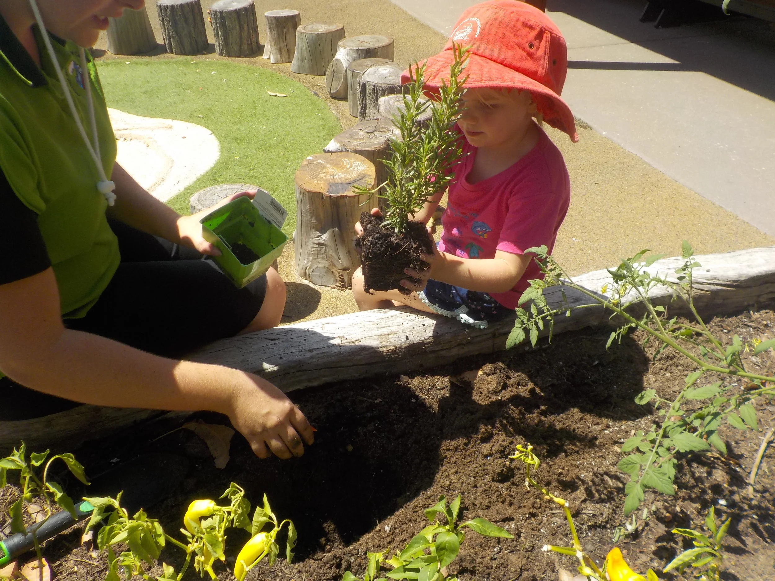 rockhampton-kindergarten.jpg
