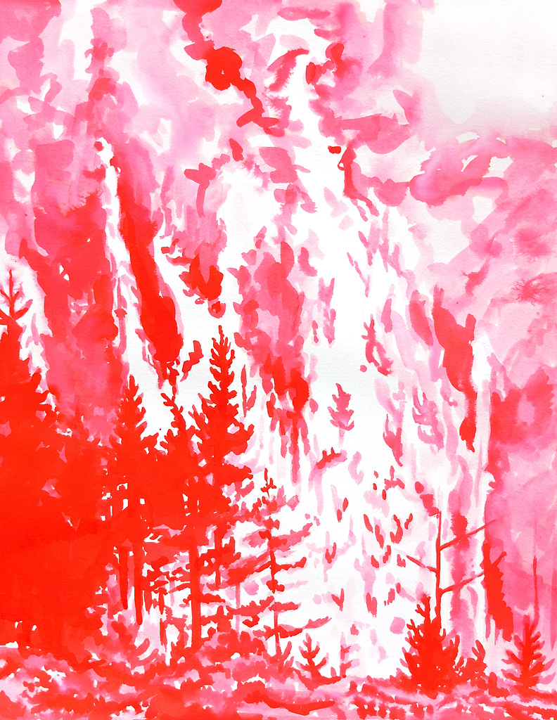 "Pink Wildfire"
