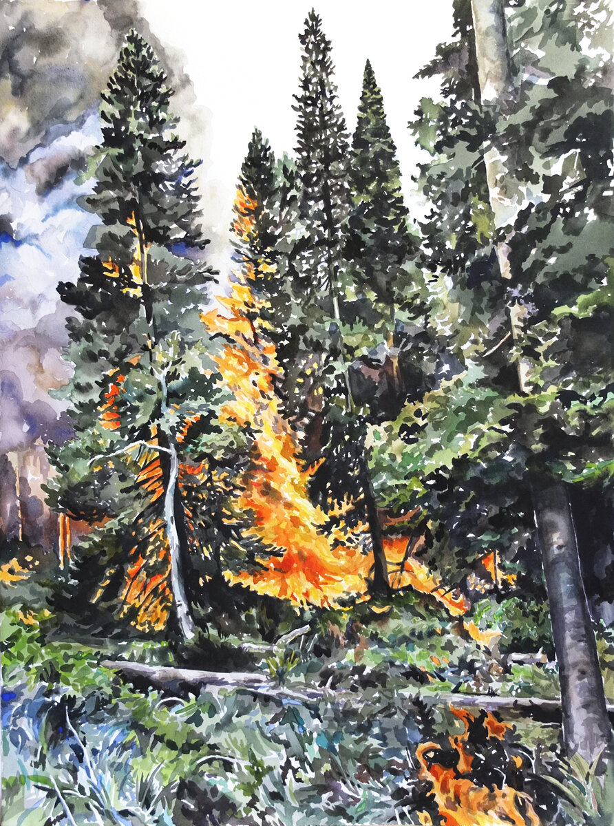 "Burning Forest"