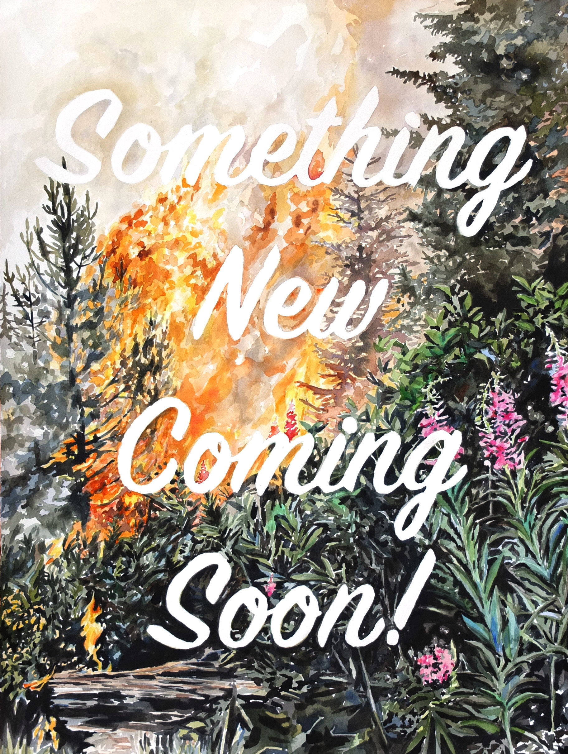 "Something New Coming Soon!"
