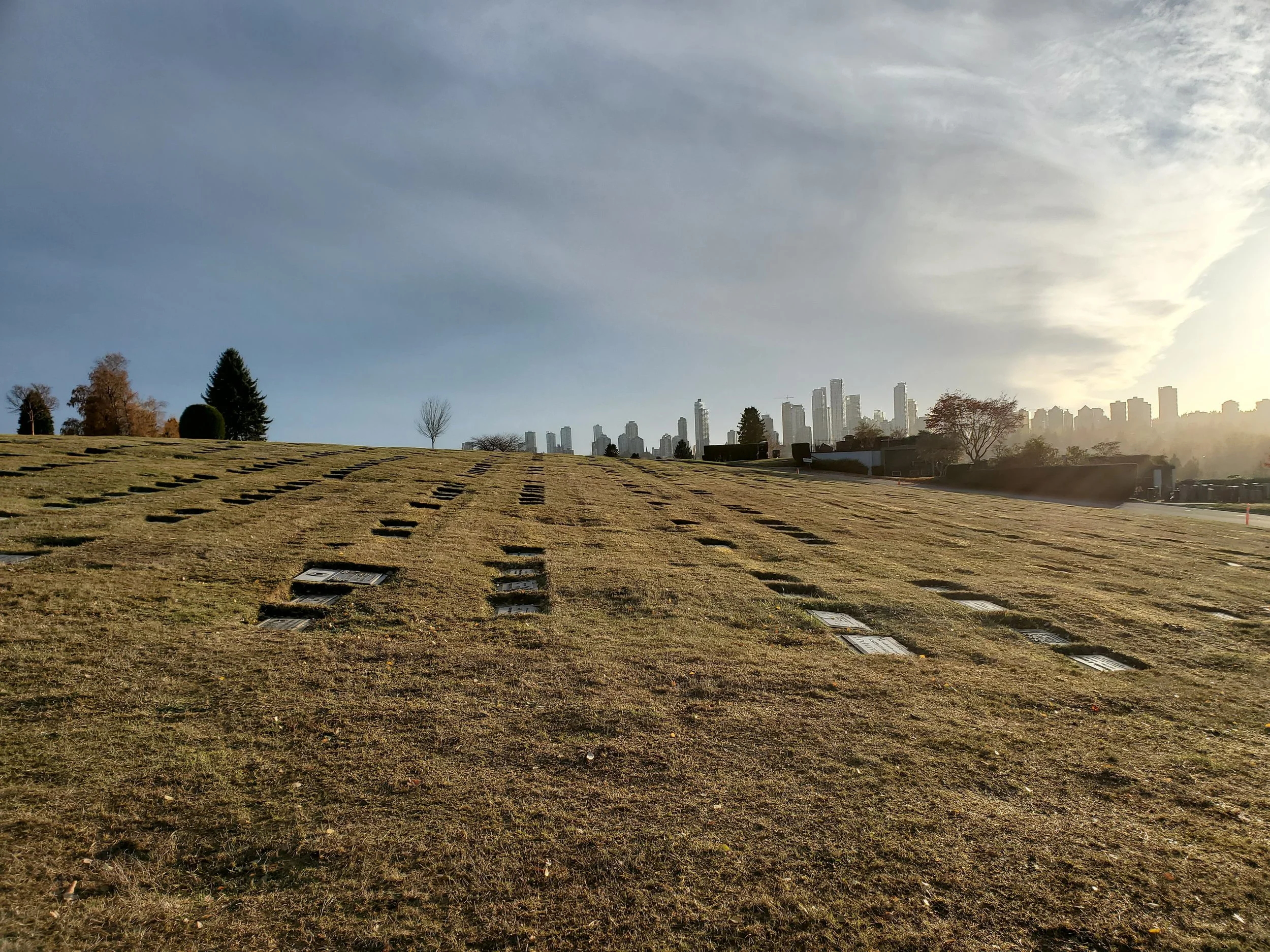 Mt Forest 94 - south.jpg