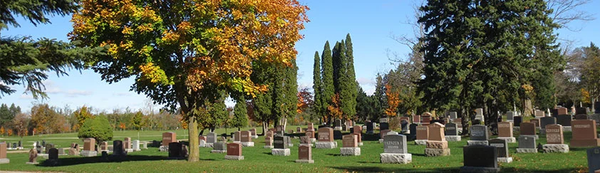 Fall_Cemetery_Banner.jpg
