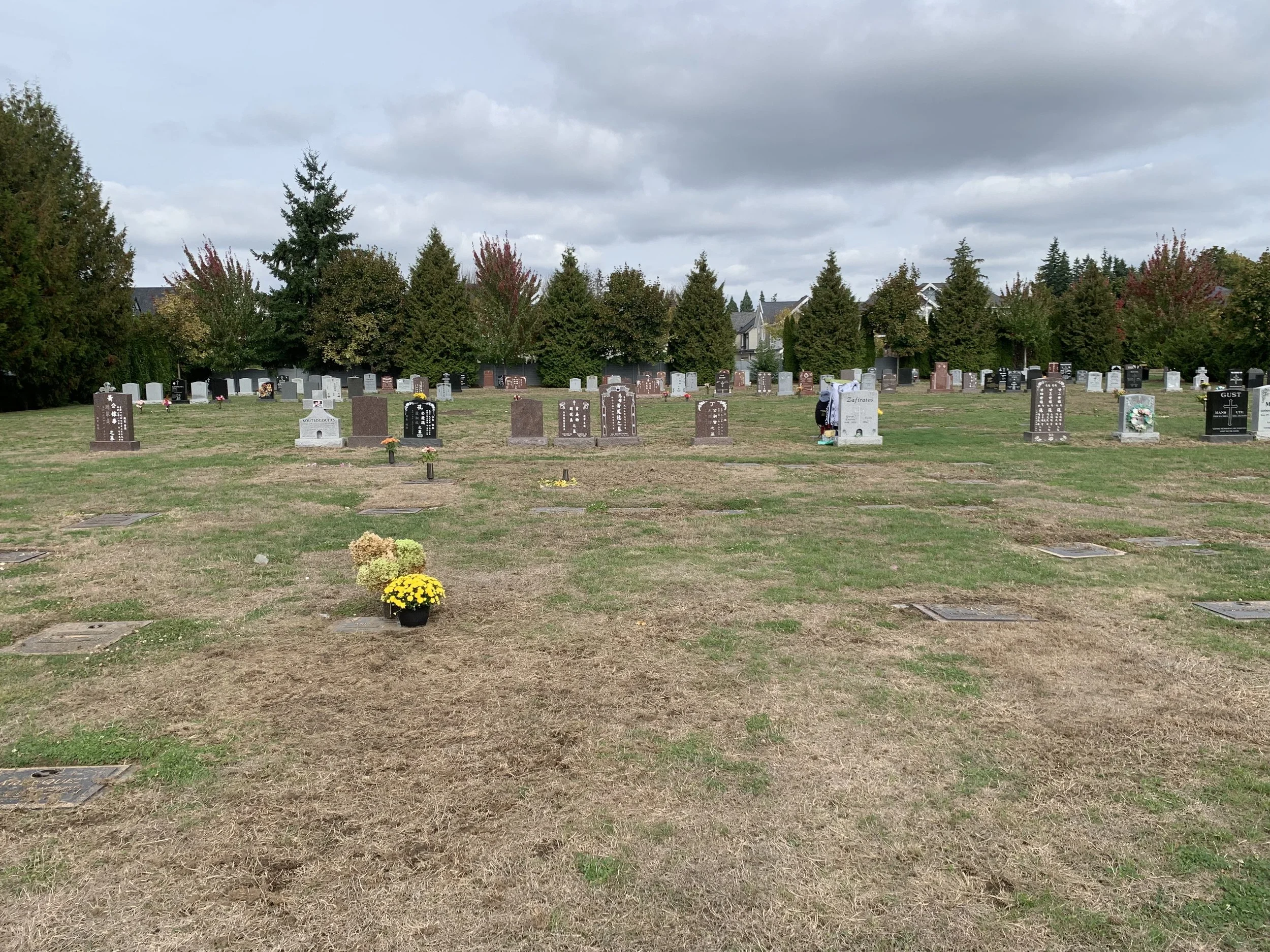 IMG_0492.jpeg