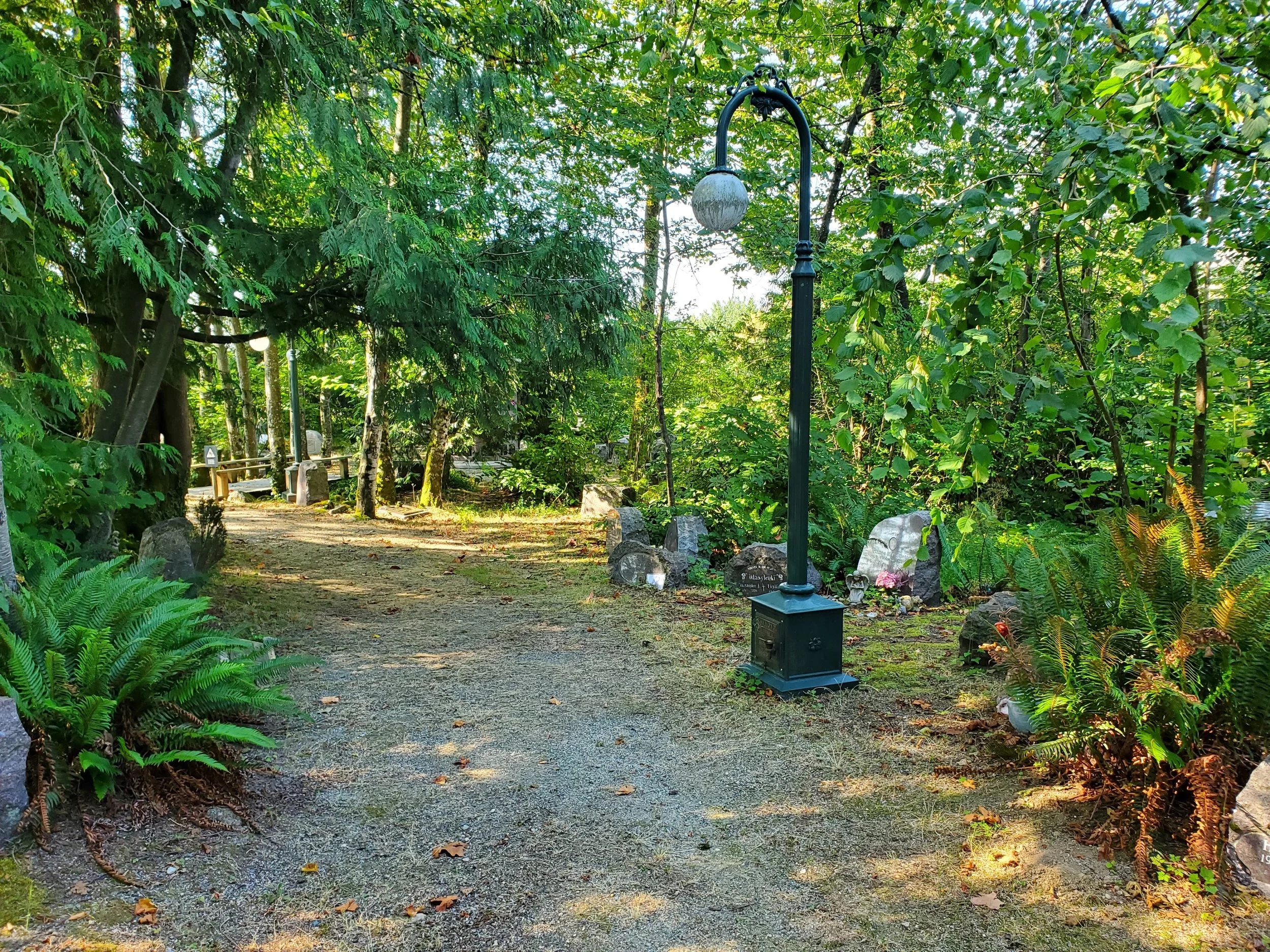 Maple Court 4.jpg