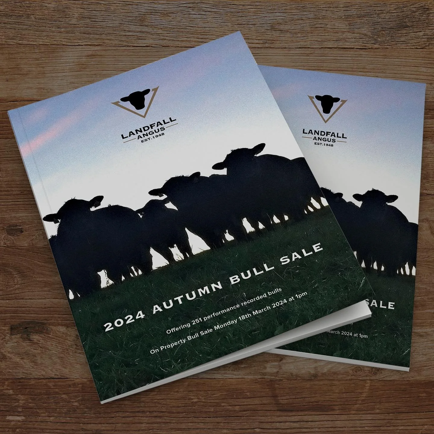 Our Autumn Bull Sale catalogue has just gone to print. Keep an eye out for it in your mailbox in a couple of weeks time. If you want a catalogue and don&rsquo;t usually receive on please make contact with us. We also captured videos of the sale bulls