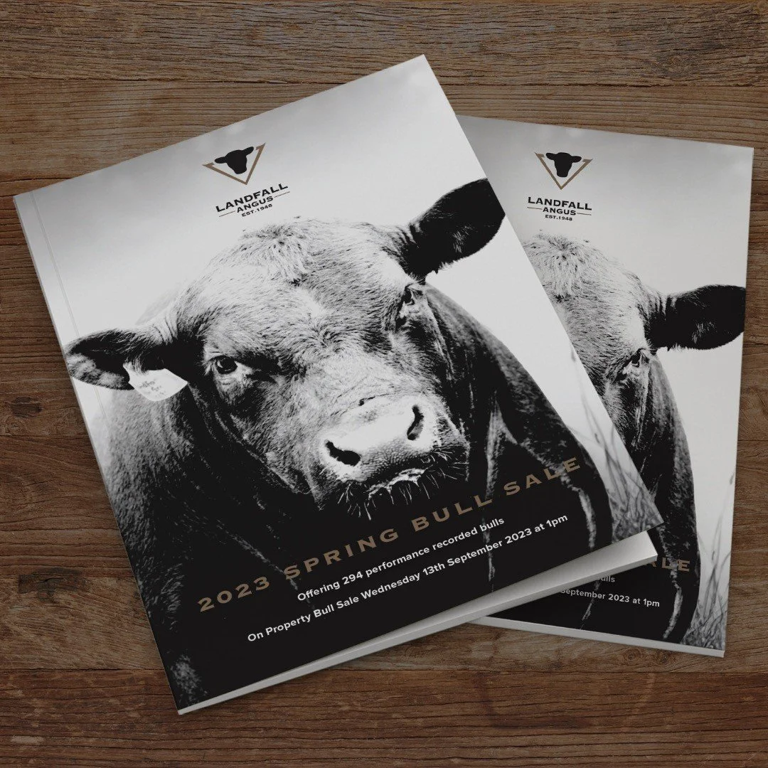 Our Spring Sale catalogue is hot off the printing press and will be hitting mail boxes soon. Let us know if you want a catalogue but do not receive one. We have 294 bulls on offer with 137 two year olds and 157 yearlings. Head over to www.landfall.co
