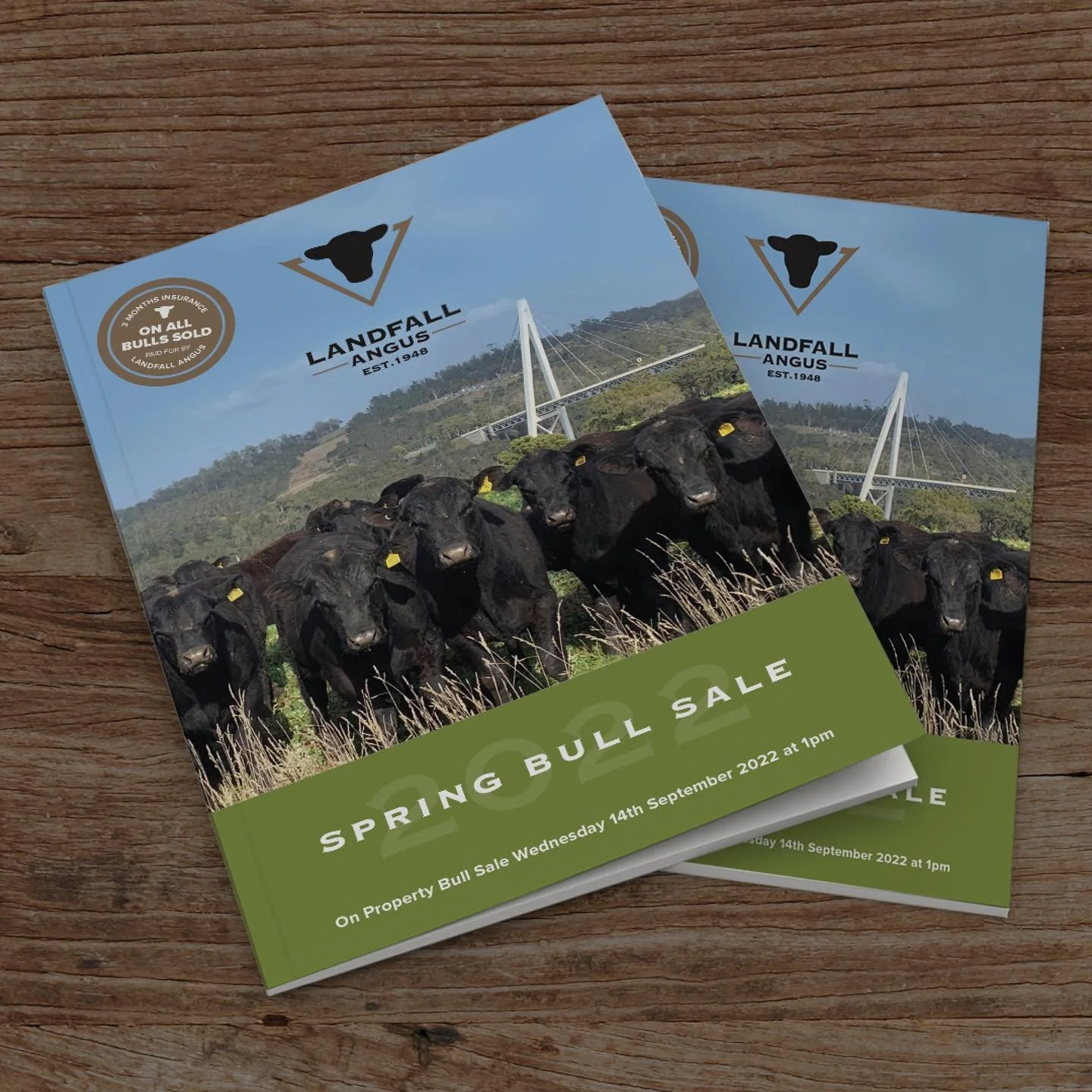 You should have now received your hard copy of the catalogue for our On Property Spring Bull Sale being held on Wednesday the 14th of September. If you still need one then please get in touch with us. We have been busy this week capturing videos of t