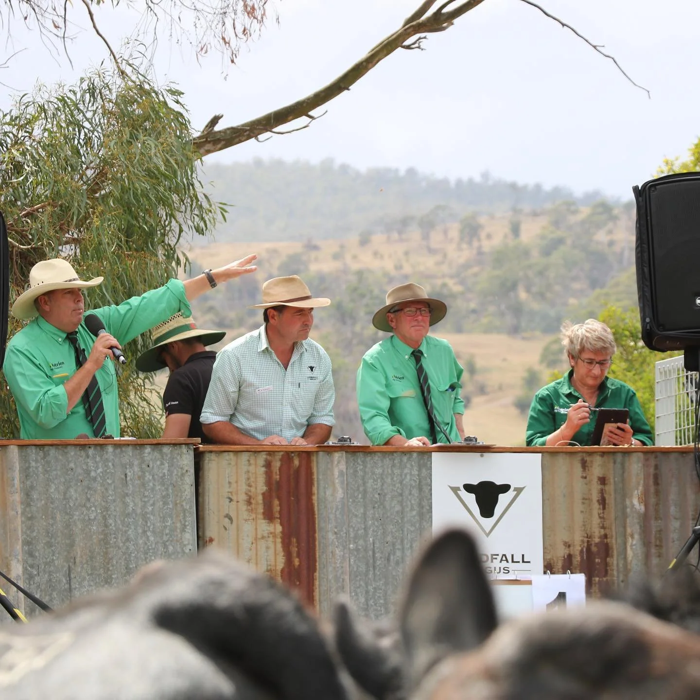 Hello from the team at Landfall Angus.
 
With so much going on behind the scenes on a daily basis we haven't had too much time to post about the happenings here at Landfall. 
 
So to fill you in - we are of course getting ready for our 44th Annual Au