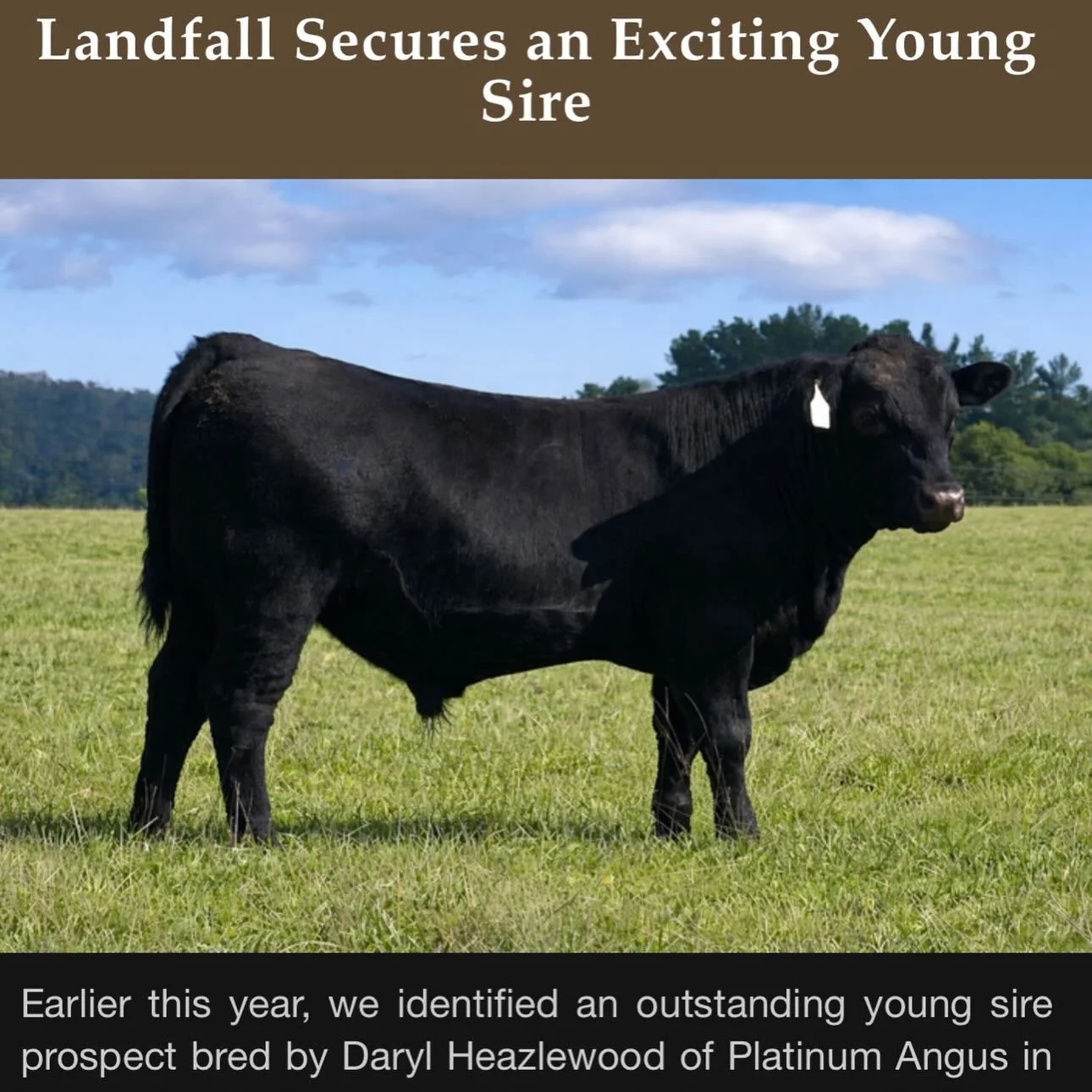A look inside the latest Landfall newsletter &mdash; winter preparations, QLD sale and a very exciting new addition 👀

Link in bio for the full newsletter! You can also sign up to keep up with everything happening at Landfall.
