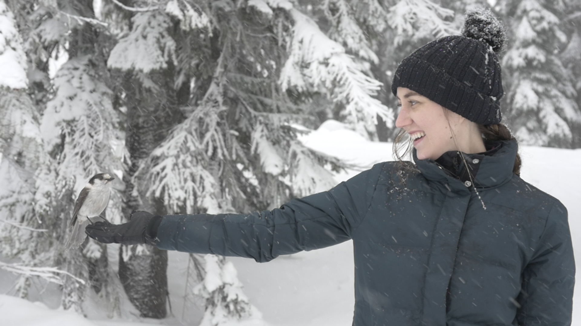 Little Moments (Copy)