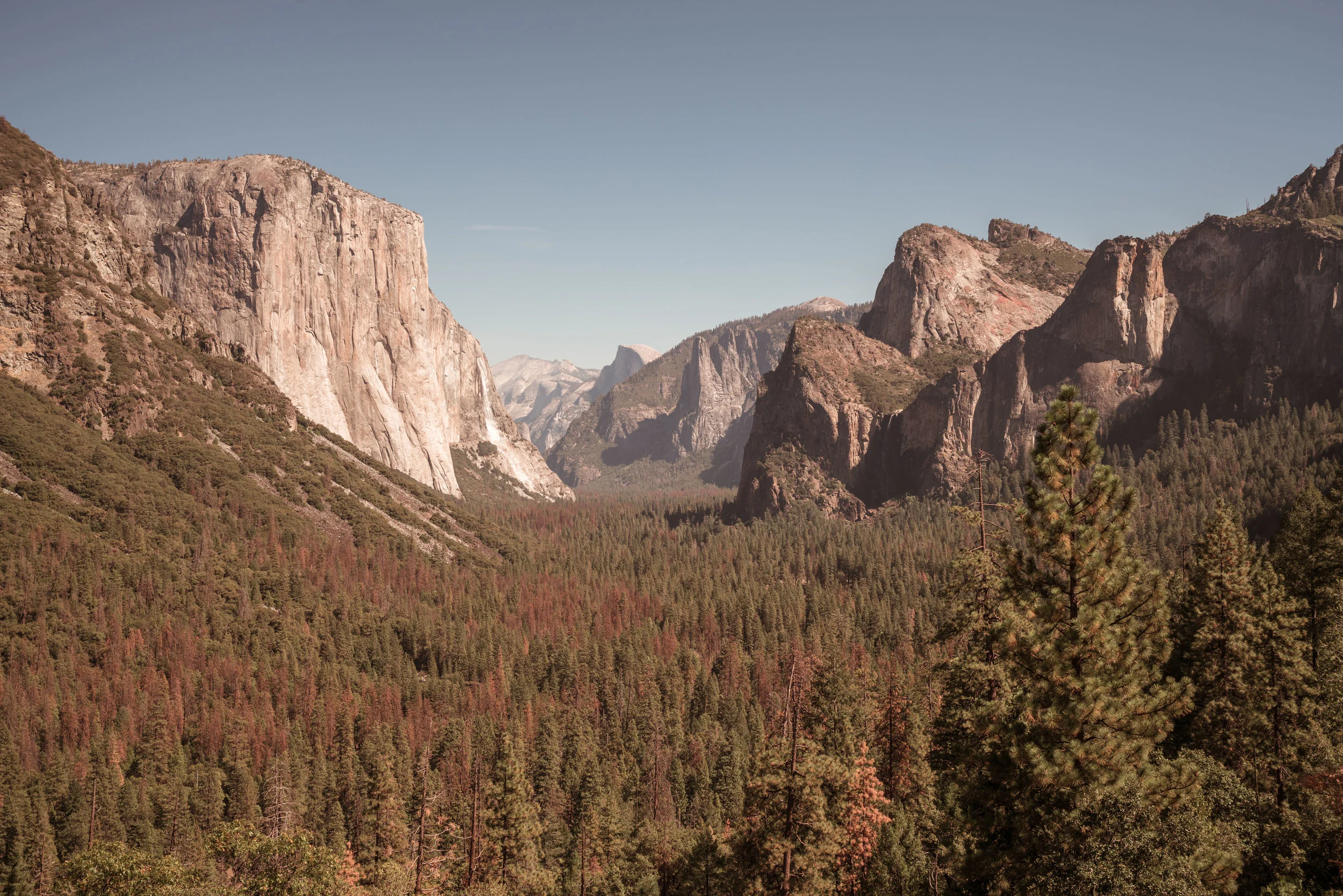 YOSEMITE, CALIFORONIA 