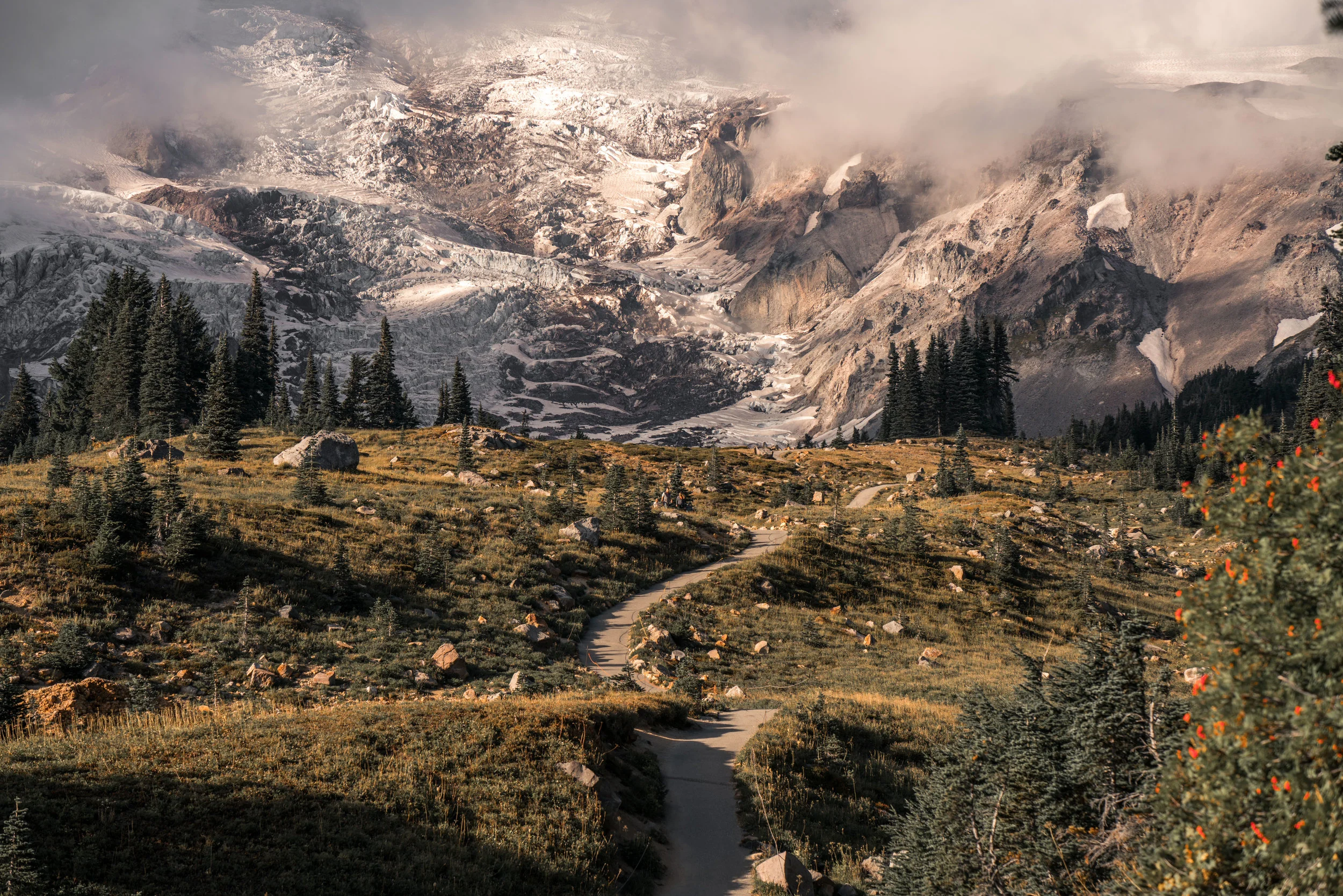 MT. RAINIER NATIONAL PARK, WASHINTON