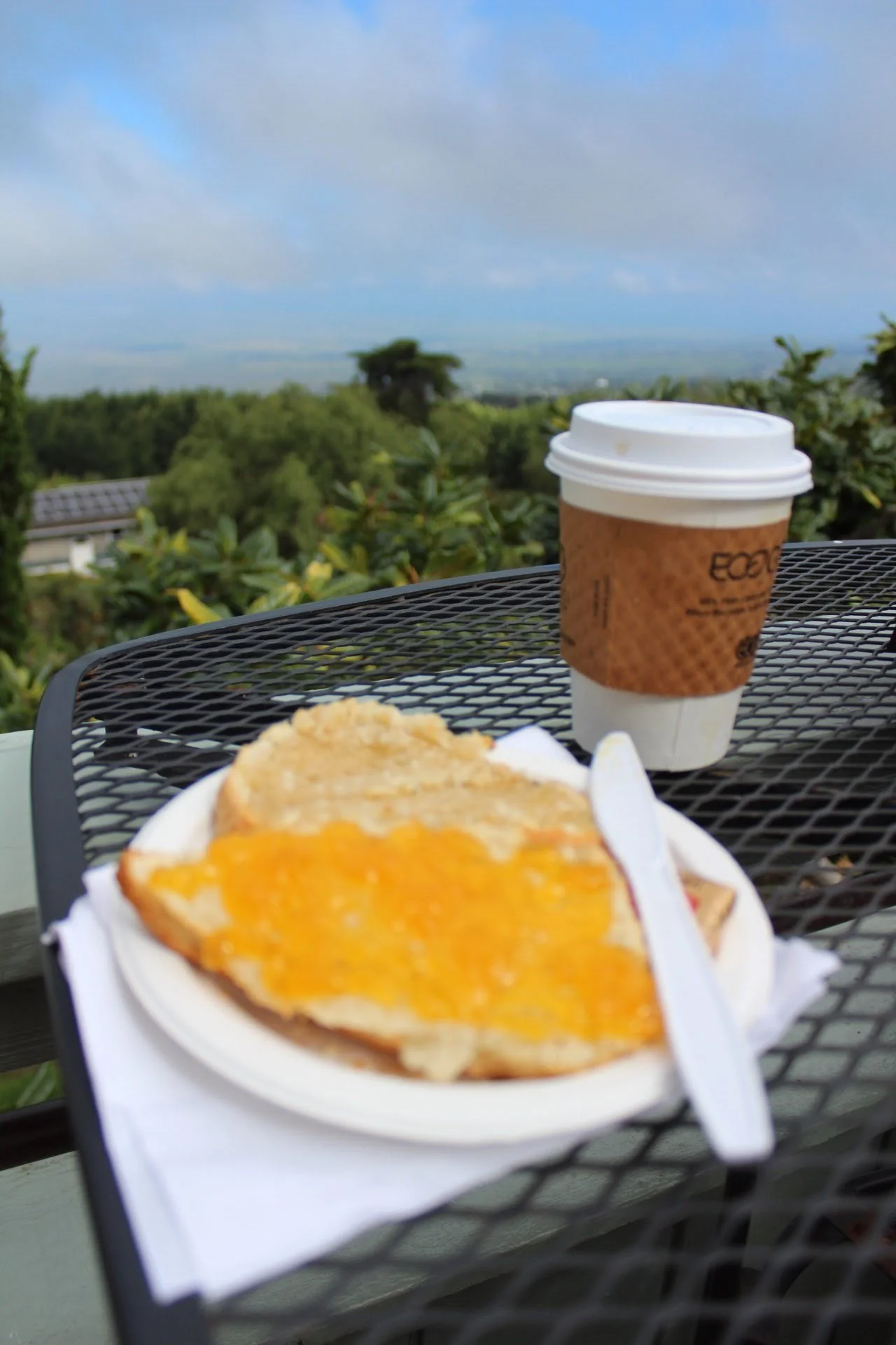 Macrame &amp; Must See March Saturday