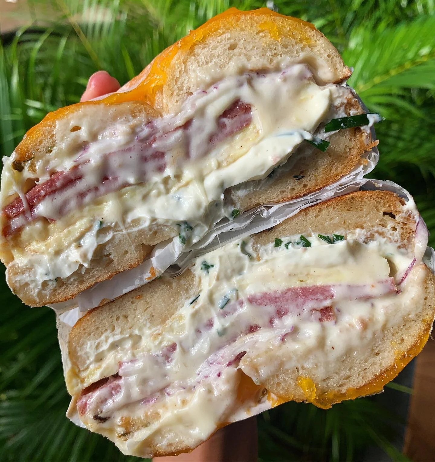 You never don&rsquo;t want a bagel. You only don&rsquo;t realize you want a bagel. 🥯🥰💕

#consumingmaui #lahaina #luckywelivemaui #supportlocal #onolicious