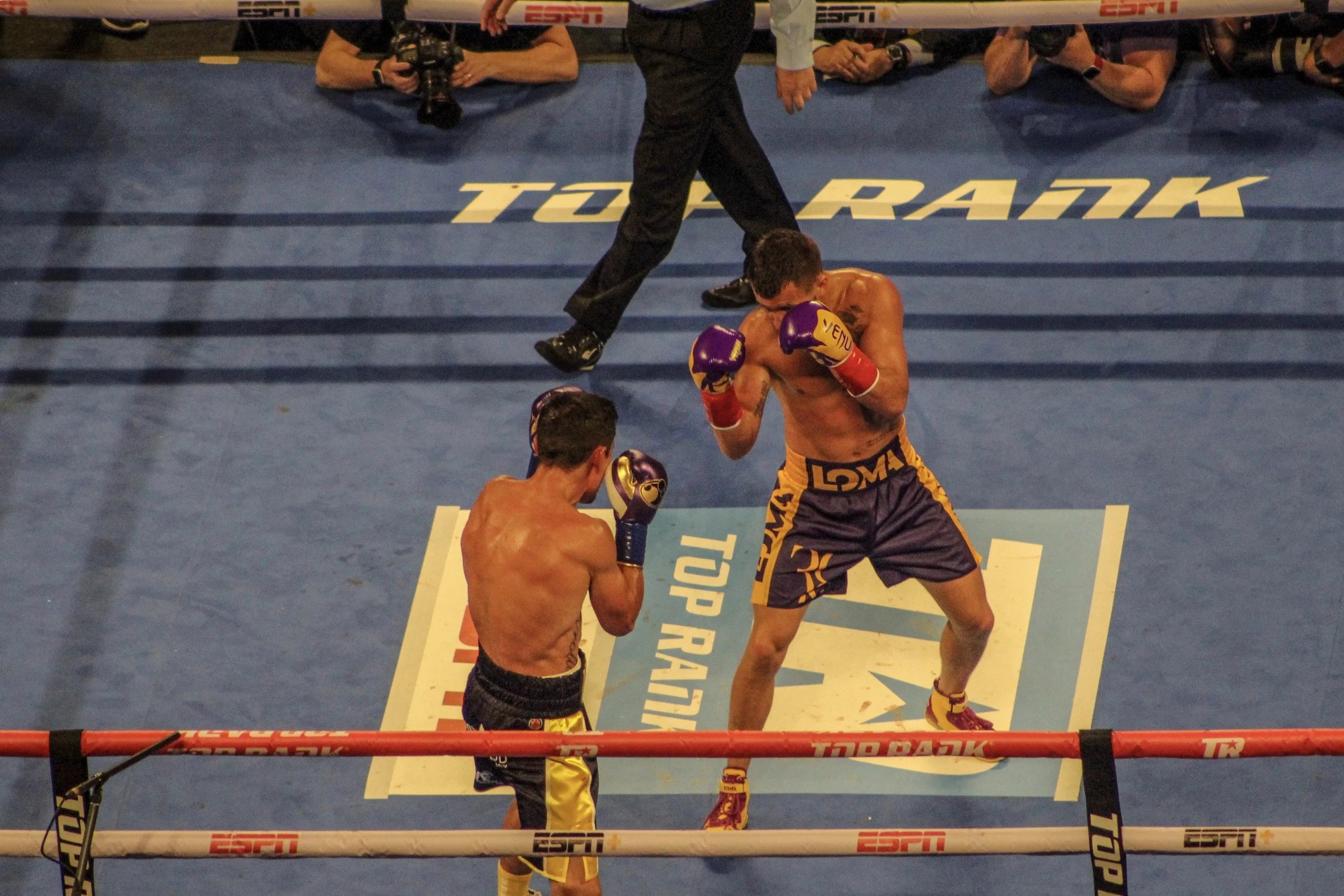 Crolla vs Lomachenko by Roger Martinez