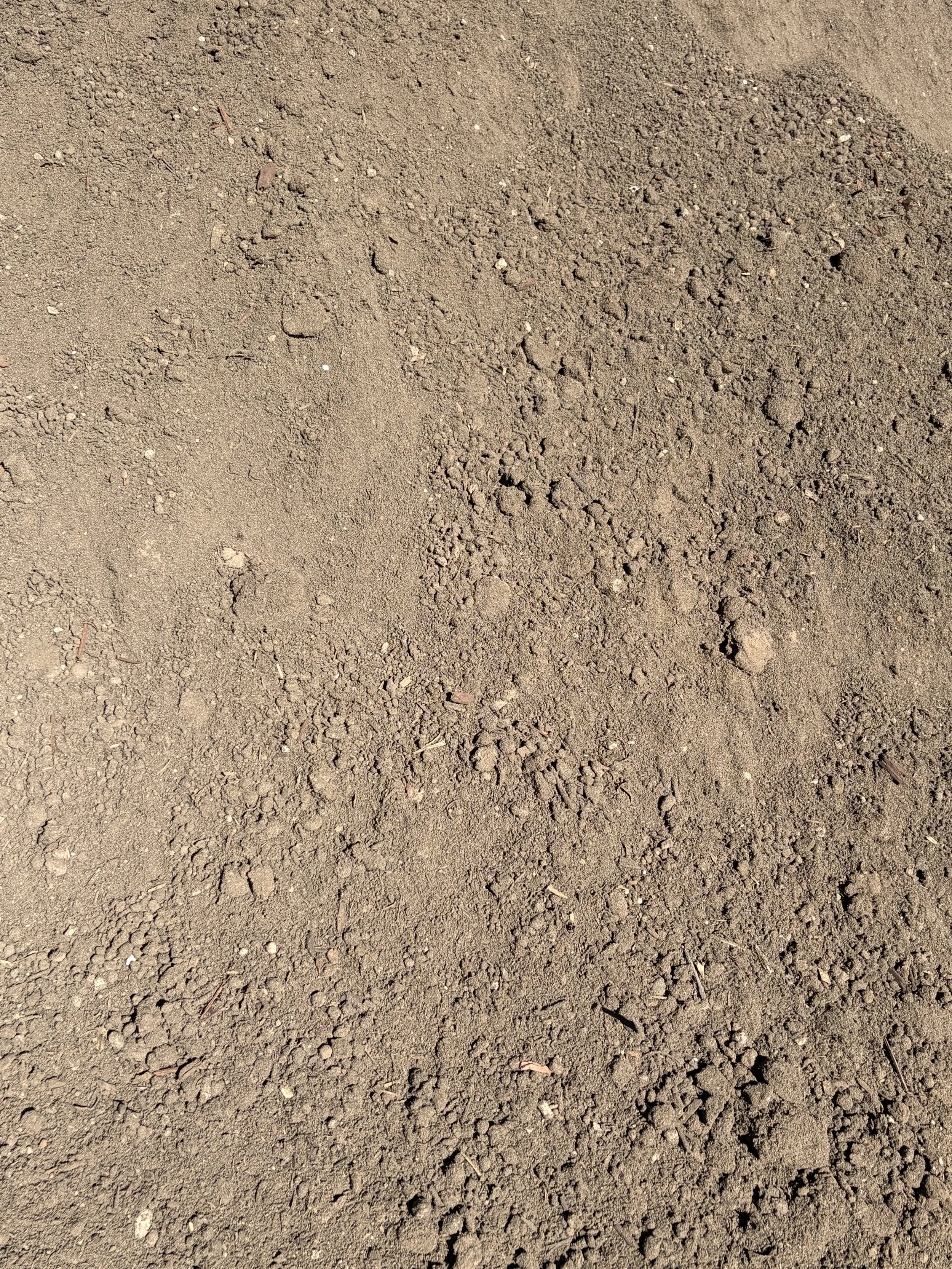 Top Soil - Veggie Mix