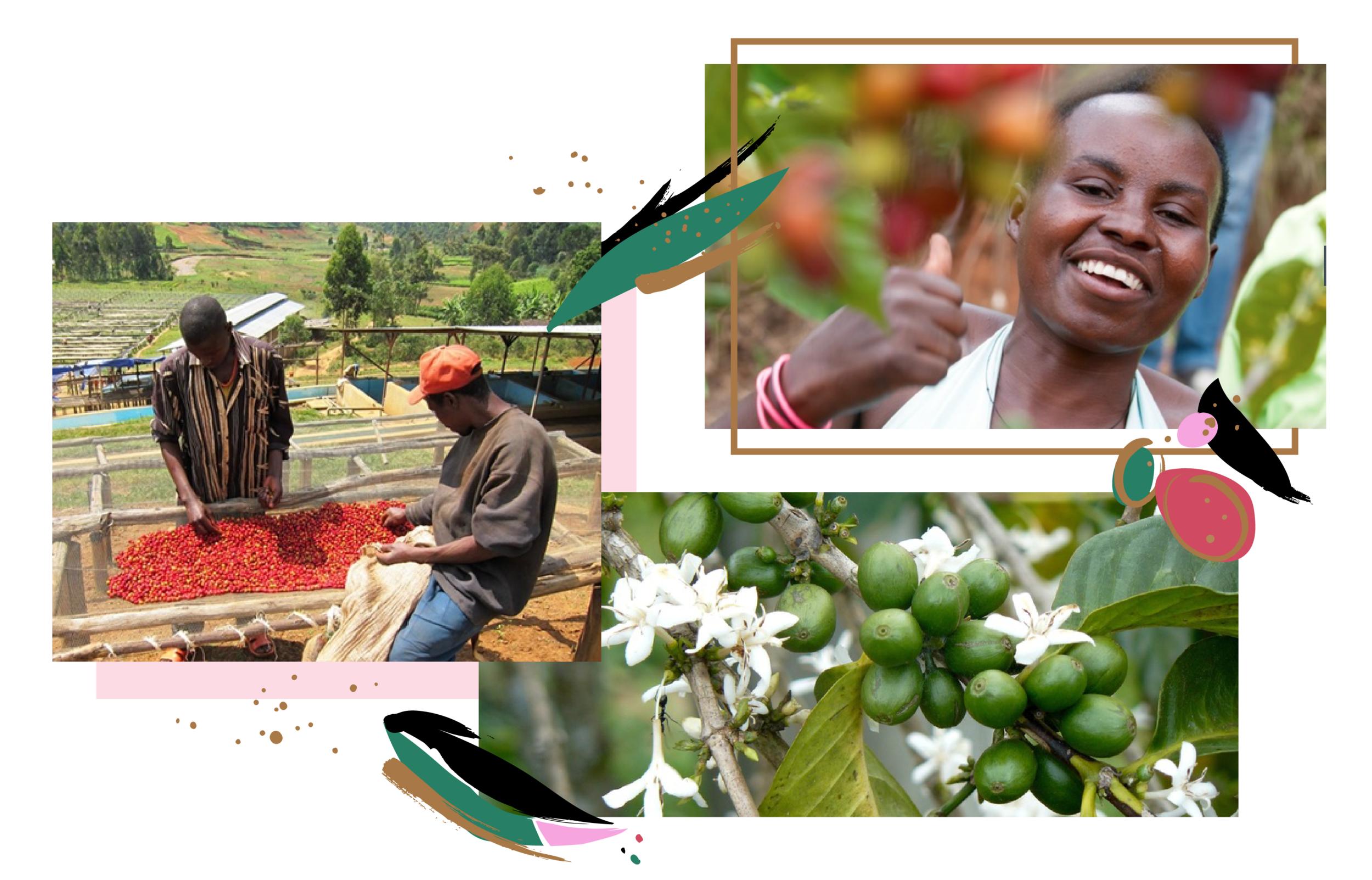 angelopedesign_reserveCard_abakundakawa_farmers.png