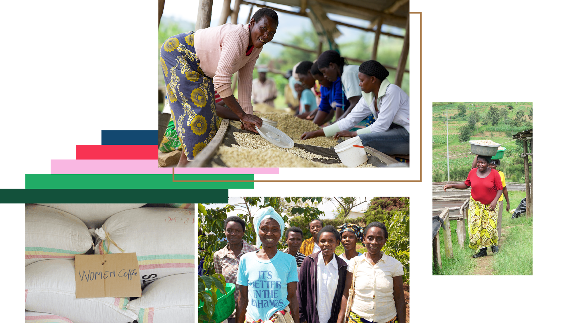 angelopedesign_reserveCard_hingakawa_farmers.png