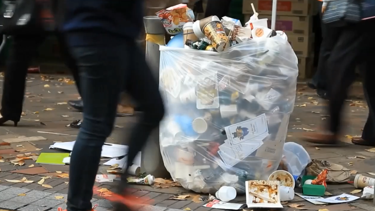 Video Lesson 1-1: Virtual Landfill Field Trip