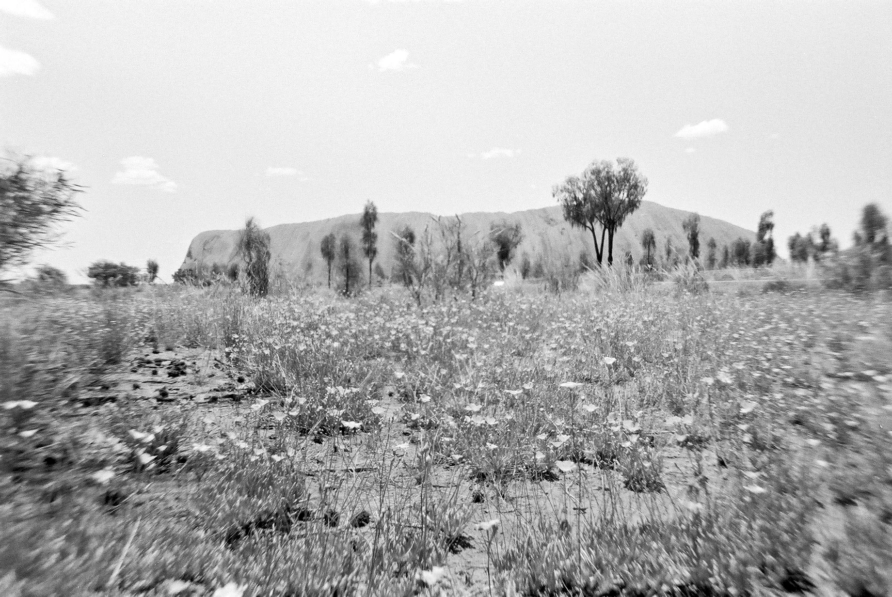 F1030006.jpg