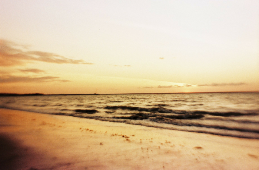 darwin beach.png