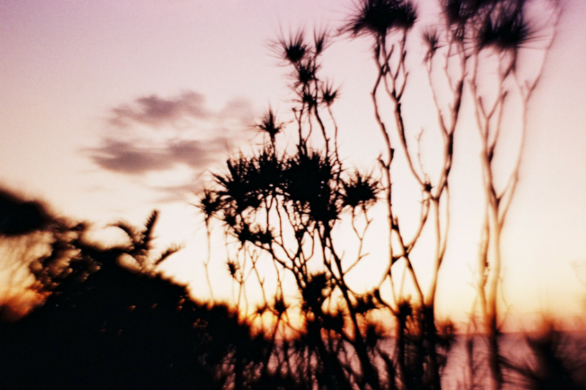 darwin sunset.png