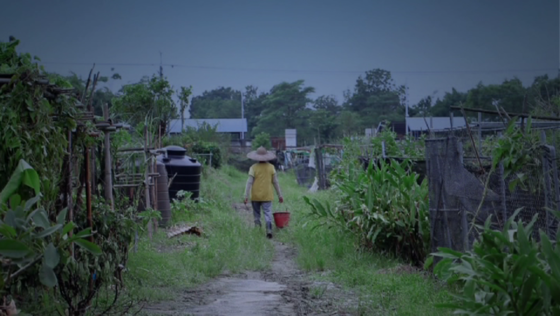 Screen shot 2018-02-20 at 下午4.15.43.png