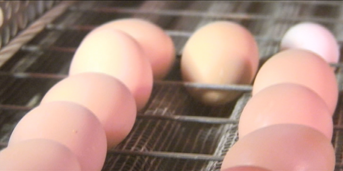   Untitled   Short Film, 5 mins, 2010  An untitled project uses the old footage and old dance piece.   