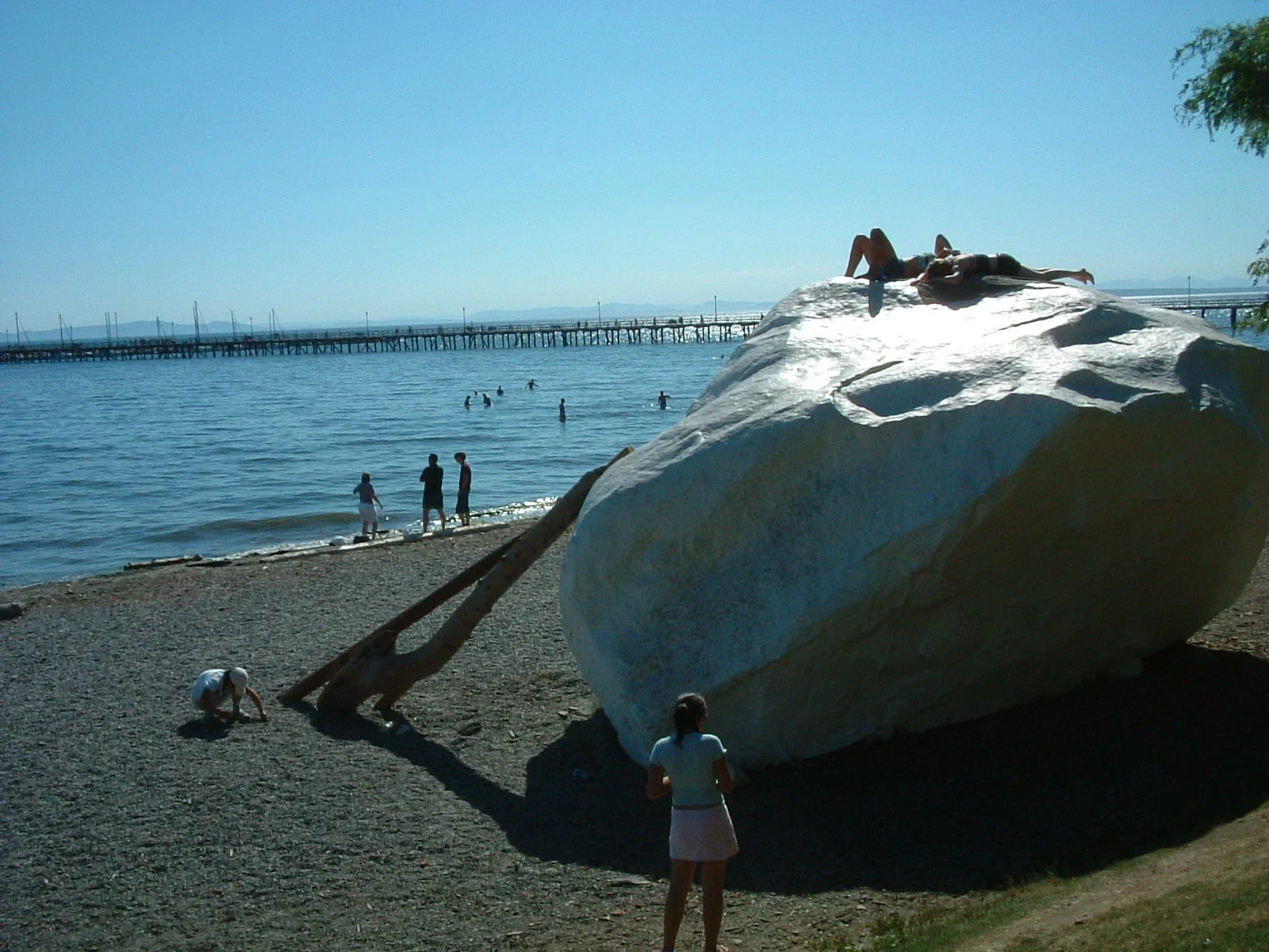 white rock.jpg
