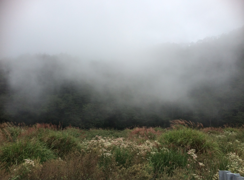 螢幕快照 2017-10-14 下午7.40.49.png