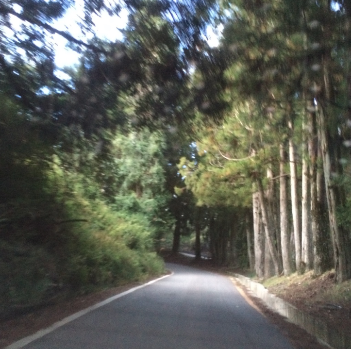 螢幕快照 2017-10-14 下午7.37.21.png