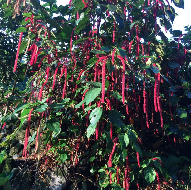 螢幕快照 2017-10-14 下午7.45.27.png