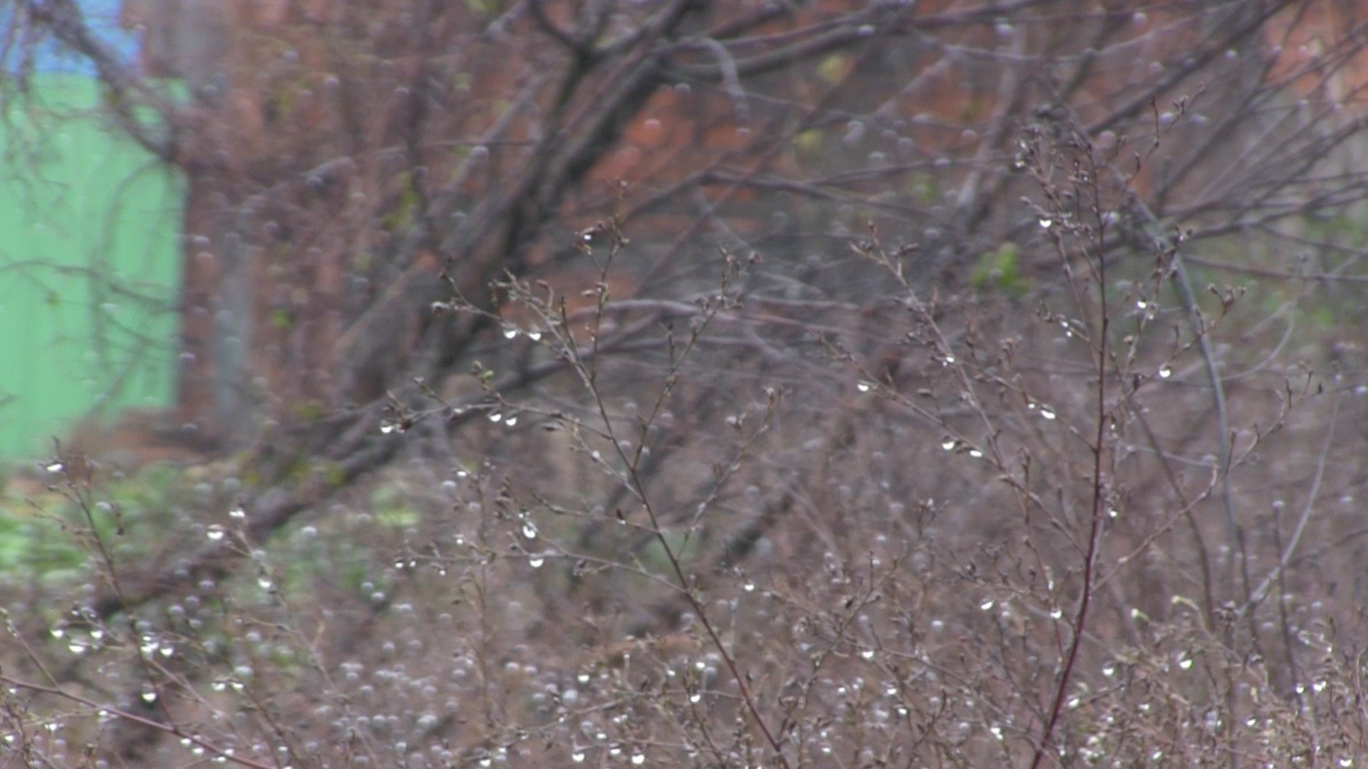 Promote Image_02.jpg