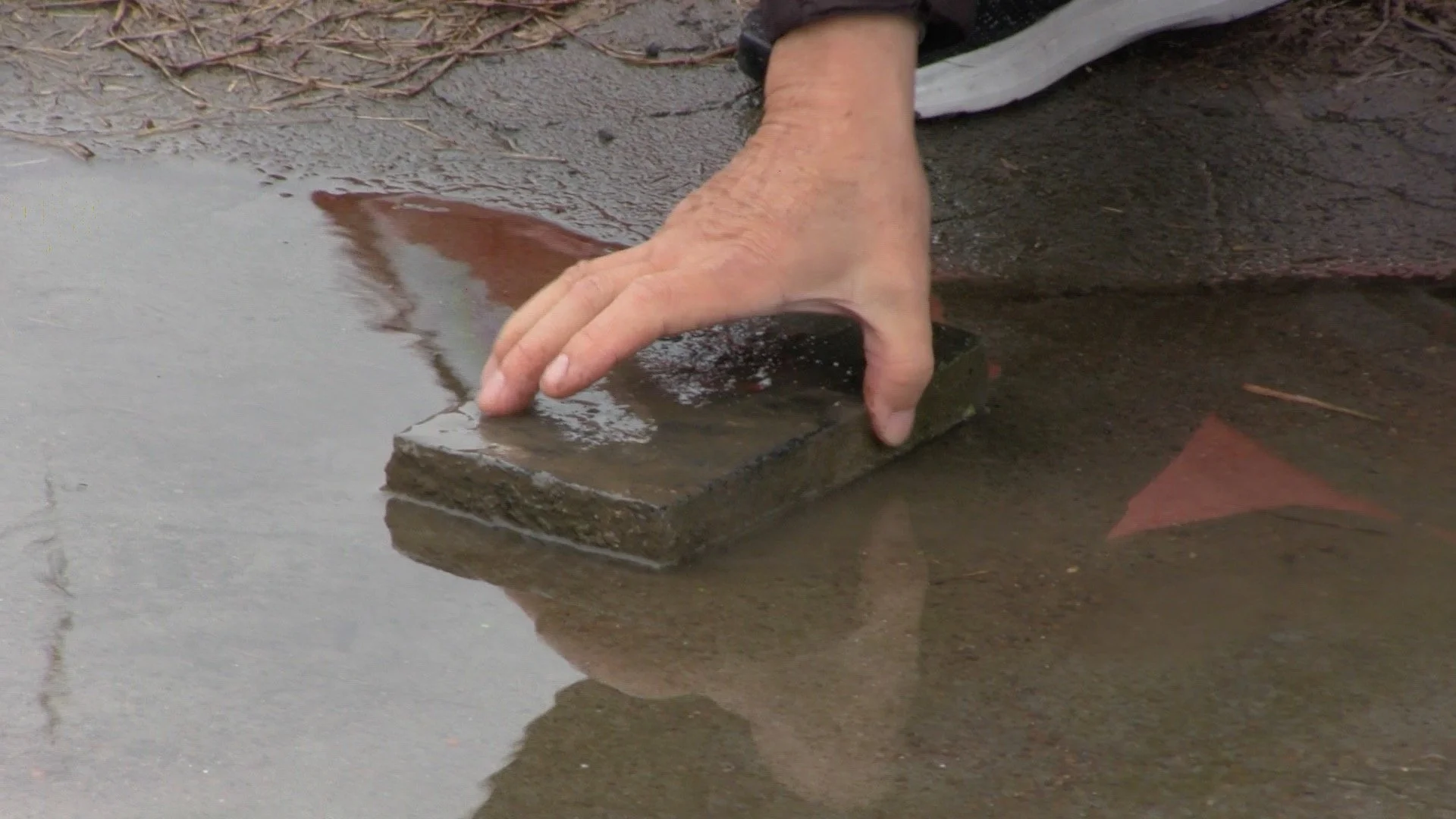 Promote Image_17.jpg