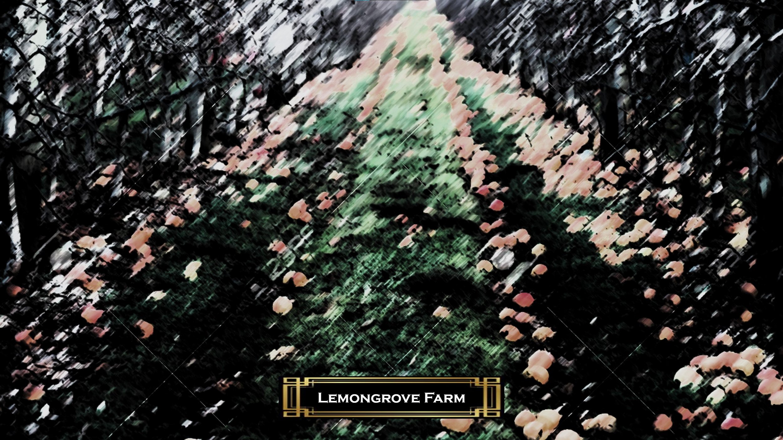lemongrove farm.jpg