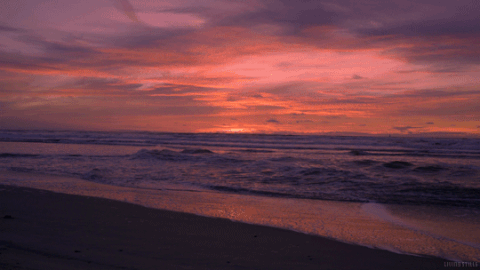 Episode I: WAKING UP
