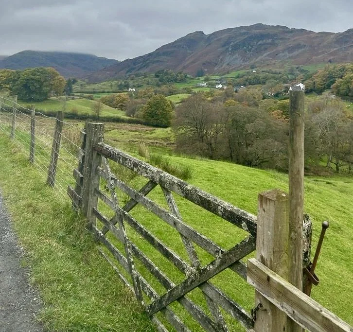 PHOTO-2023-10-29-09-50-57 2.jpeg