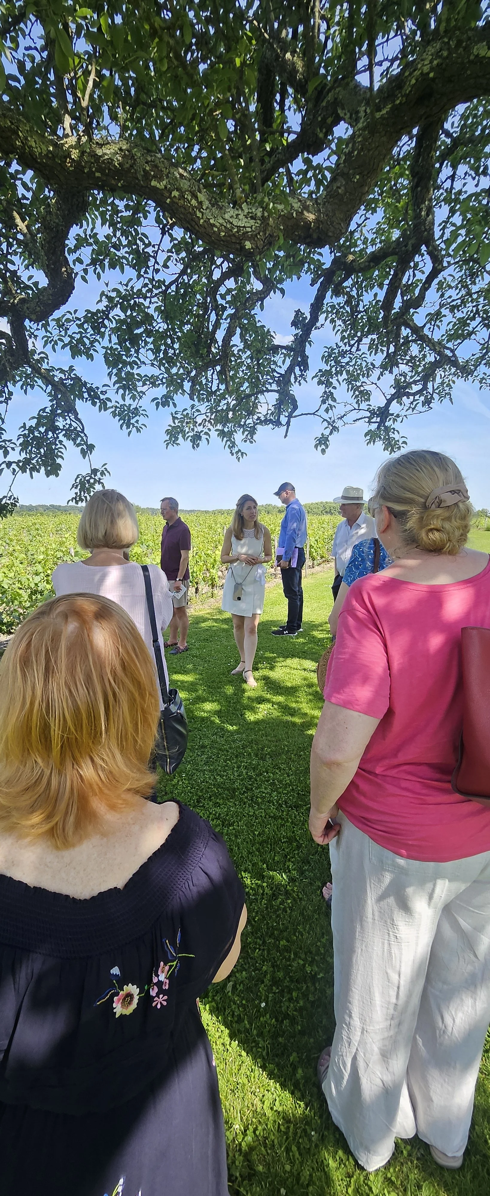 5.2.2 Friday 22 May 2026 Ch Haut Bailly -- welcome.jpg